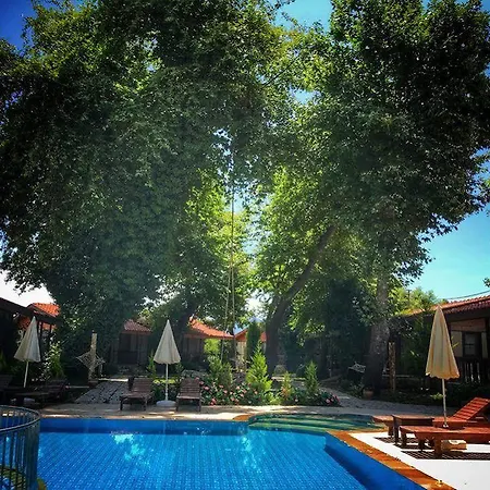 Otel Kerpic Evler Yanıklar